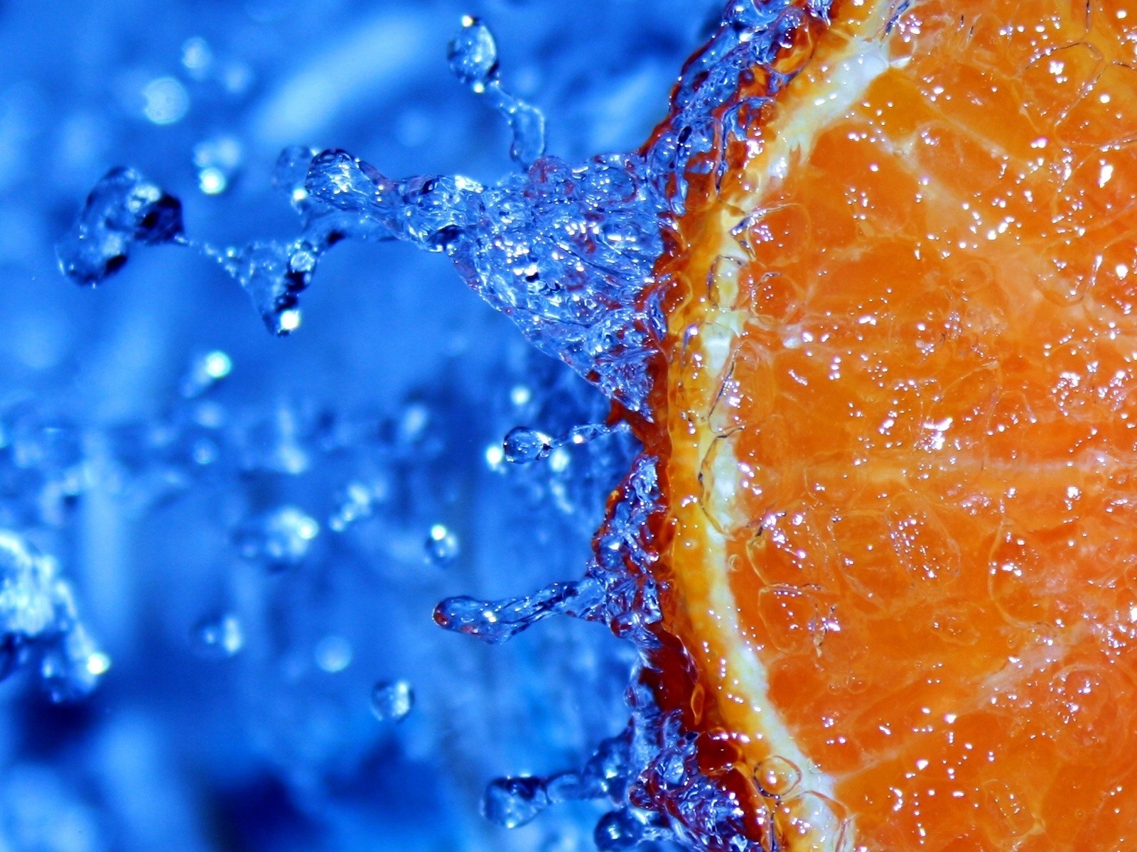 Short Guide to Macro Photography